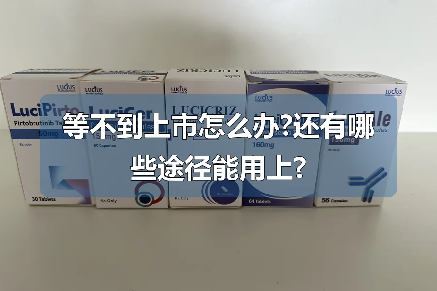 等不到上市怎么办?还有哪些途径能用上?